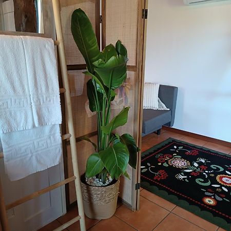 Casa Das Fontelas カステロ・デ・パイヴァ エクステリア 写真